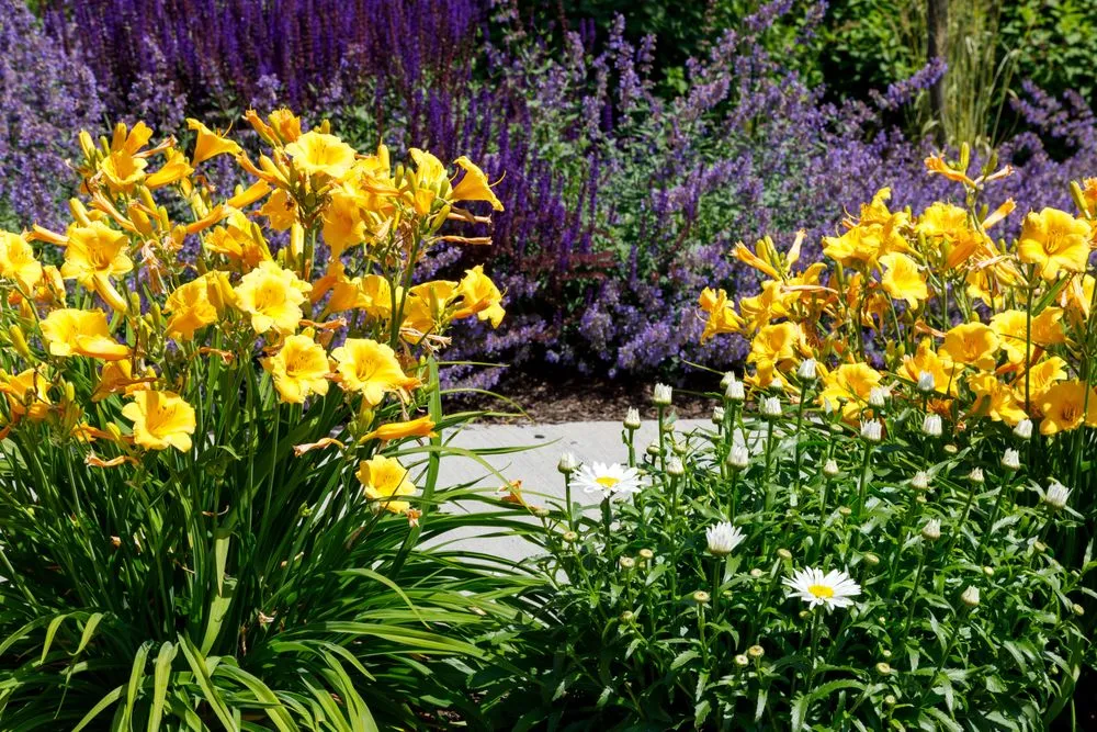 Custom landscape installation in Hyde Park, MA by Christie Dustman & Company
