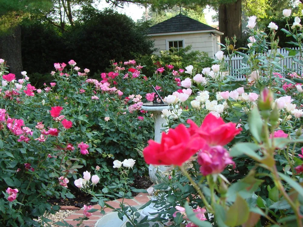 Reliable lawn mowing service experts serving Manakin Sabot, VA - Christie's Fine Gardening & Creative Landscapes
