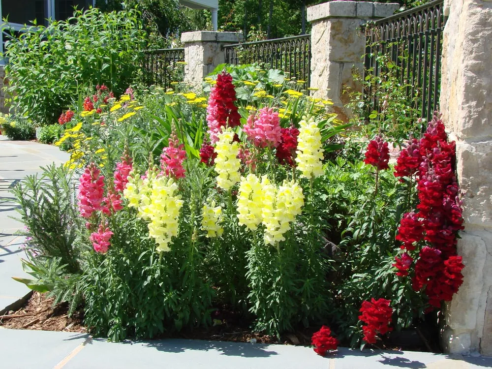 Top-rated landscaping services for beautiful yards in Manakin Sabot, VA by Christie's Fine Gardening & Creative Landscapes
