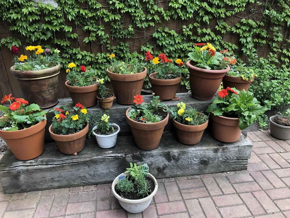 Local yard cleanup service in Brooklyn, NY by Christina Brown Gardens