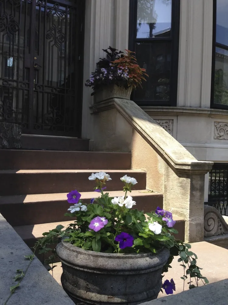 Local landscape installation for outdoor upgrades in Brooklyn, NY by Christina Brown Gardens