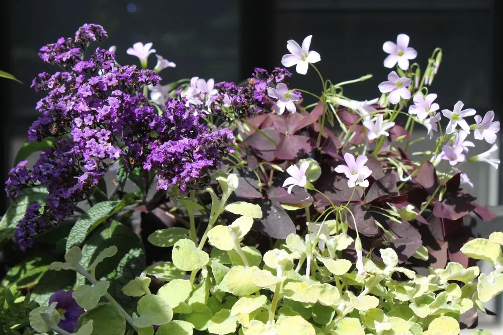 Custom landscape design in Brooklyn, NY by Christina Brown Gardens