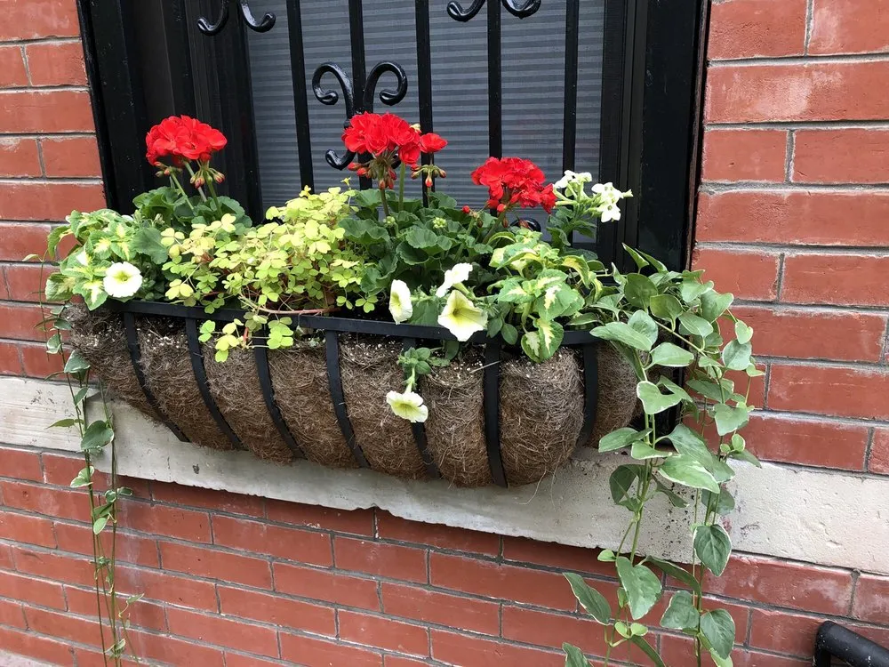 Expert lawn mowing service in Brooklyn, NY by Christina Brown Gardens