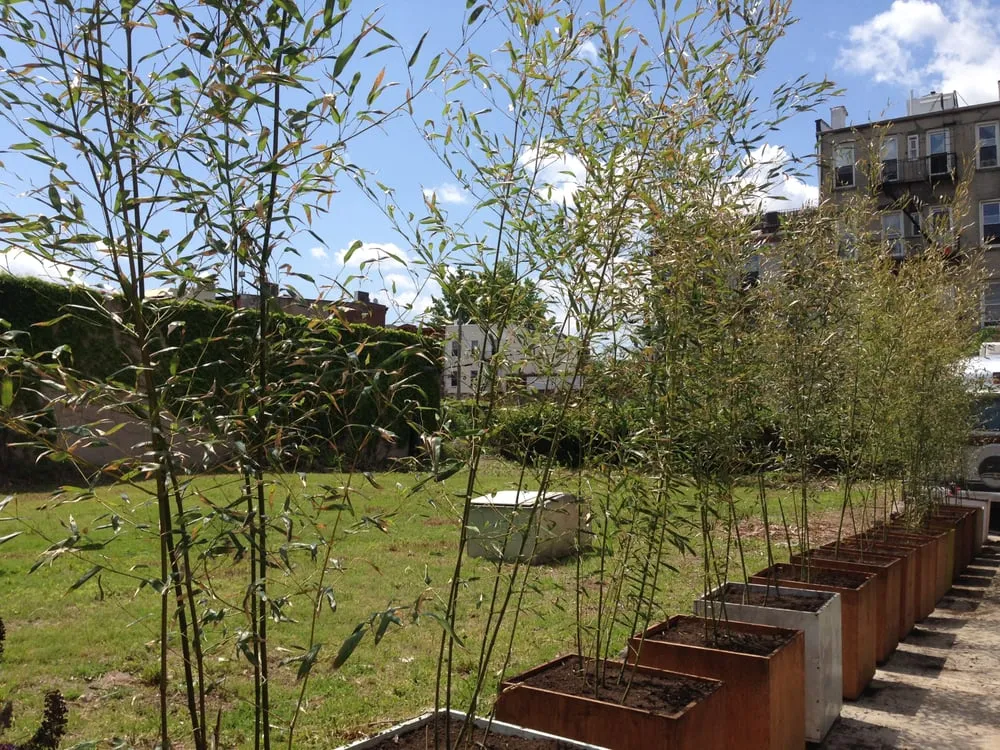 Reliable landscape installation in Brooklyn, NY by Christina Brown Gardens