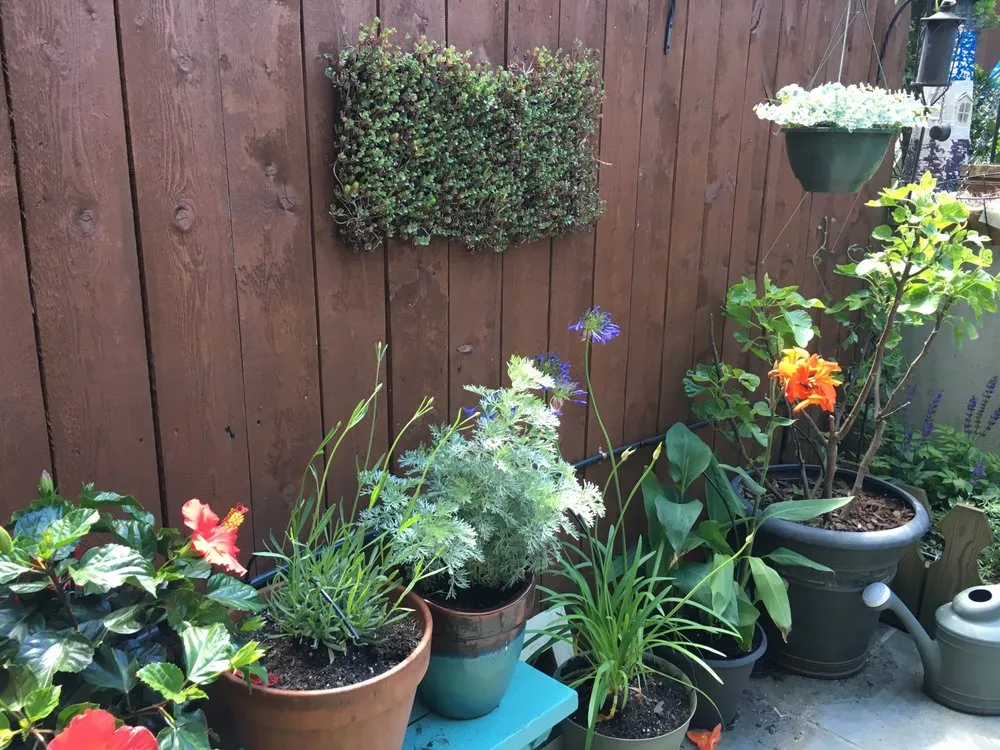 Expert outdoor landscaping in Brooklyn, NY - Christina Brown Gardens