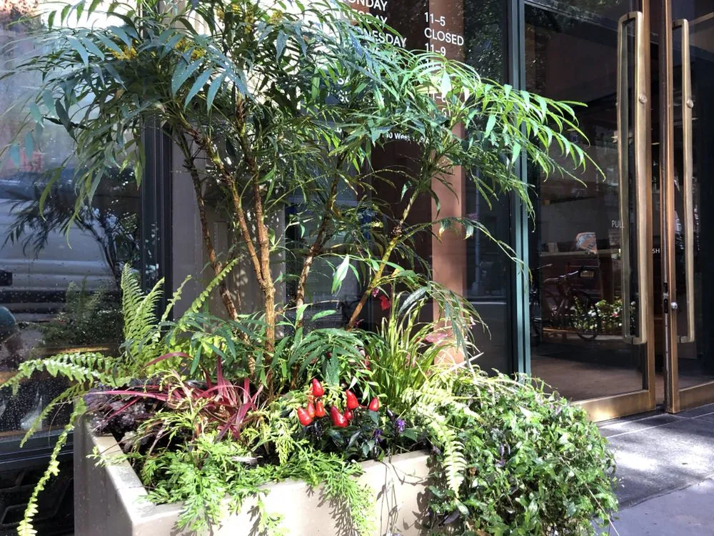 Expert landscaping services for outdoor upgrades in Brooklyn, NY by Christina Brown Gardens