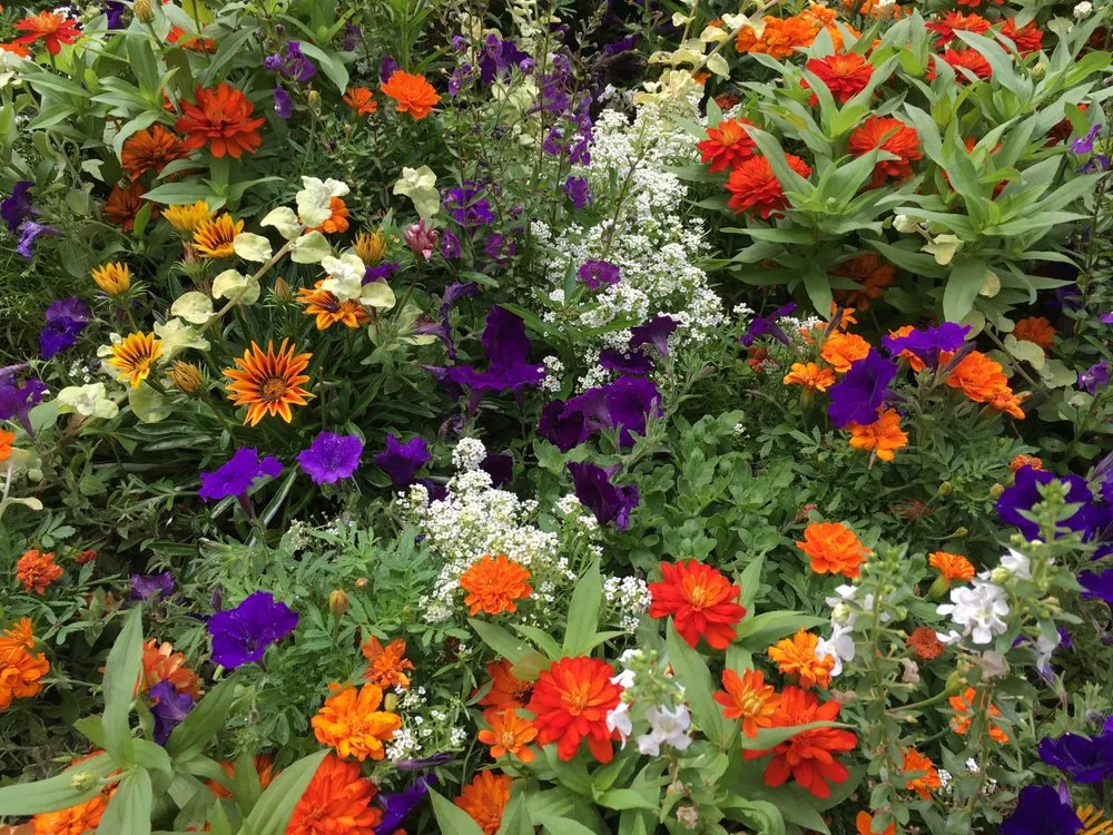 Expert landscape installation for residential properties in Brooklyn, NY by Christina Brown Gardens