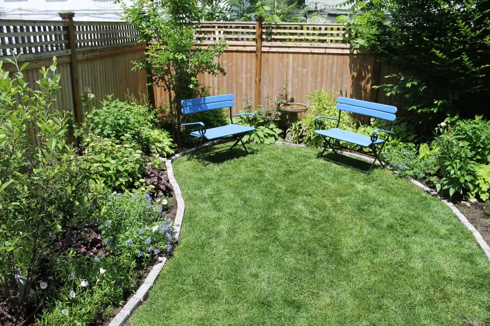 Local landscape design for year-round maintenance in Brooklyn, NY by Christina Brown Gardens