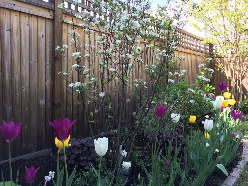 Affordable landscape design experts serving Brooklyn, NY - Christina Brown Gardens