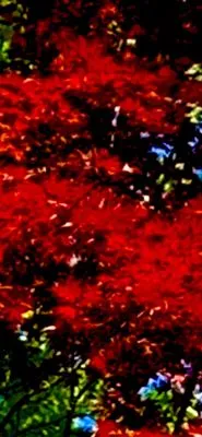 Christina Cares Lawn Service Logo