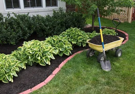 Professional residential landscaping in Lake Worth Beach, FL by Christina Landscaping