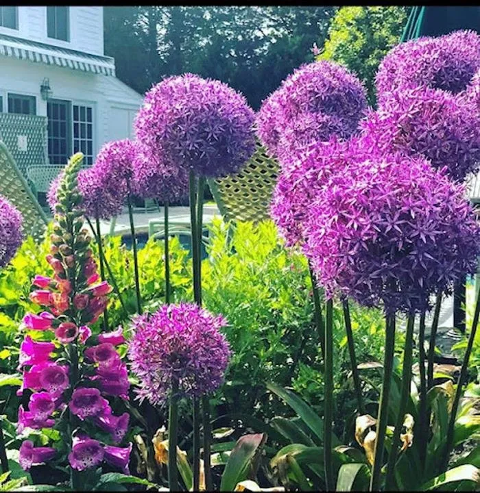 Trusted landscape installation for year-round maintenance across Southold, NY - Christine Harmon Gardens