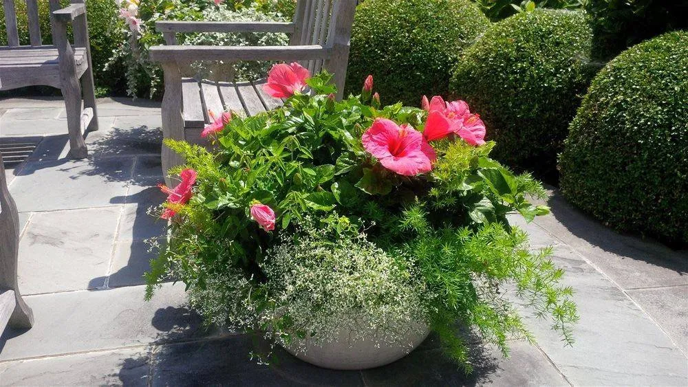 Professional yard cleanup service in Southold, NY by Christine Harmon Gardens