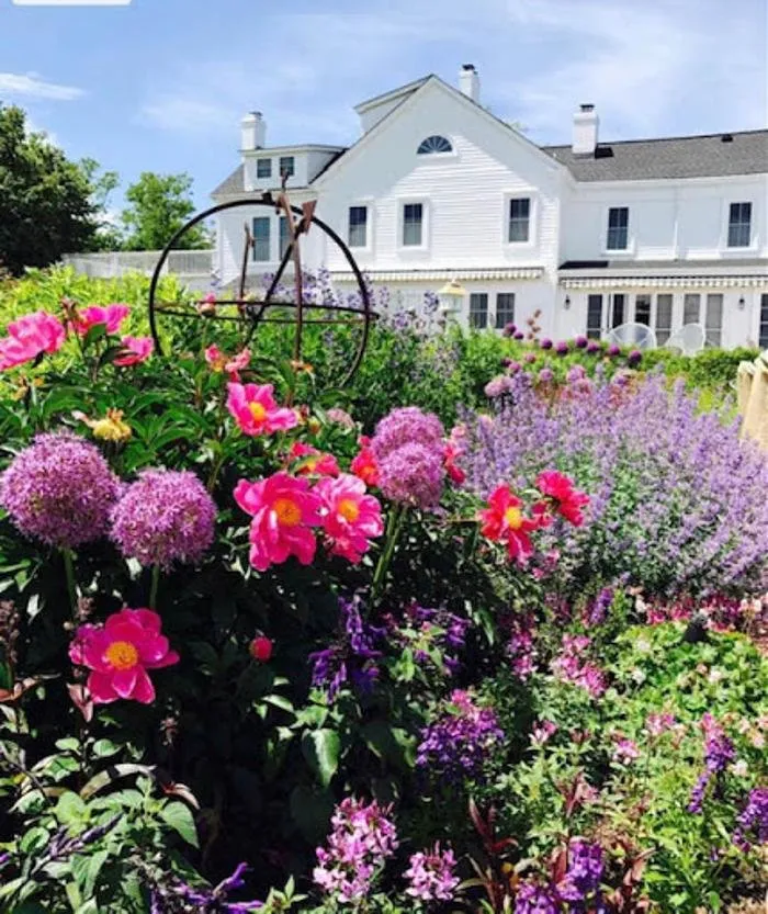 Professional yard cleanup service in Southold, NY by Christine Harmon Gardens