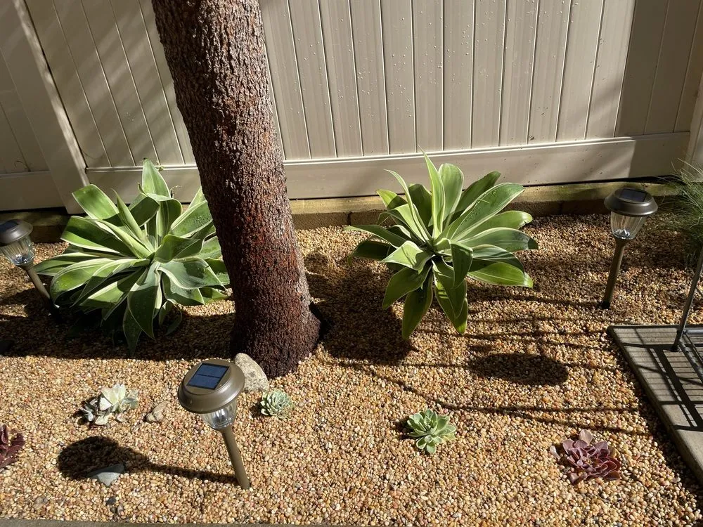 Reliable garden landscaping in Long Beach, CA by Christine Nakov