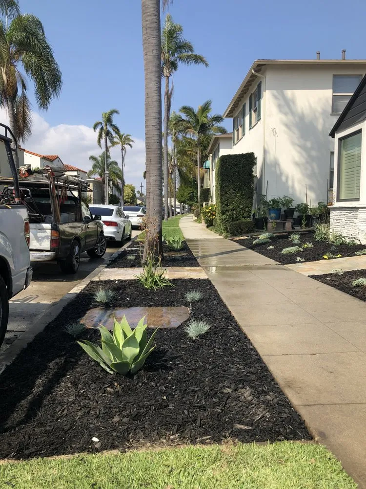 Reliable landscape installation for homes across Long Beach, CA - Christine Nakov