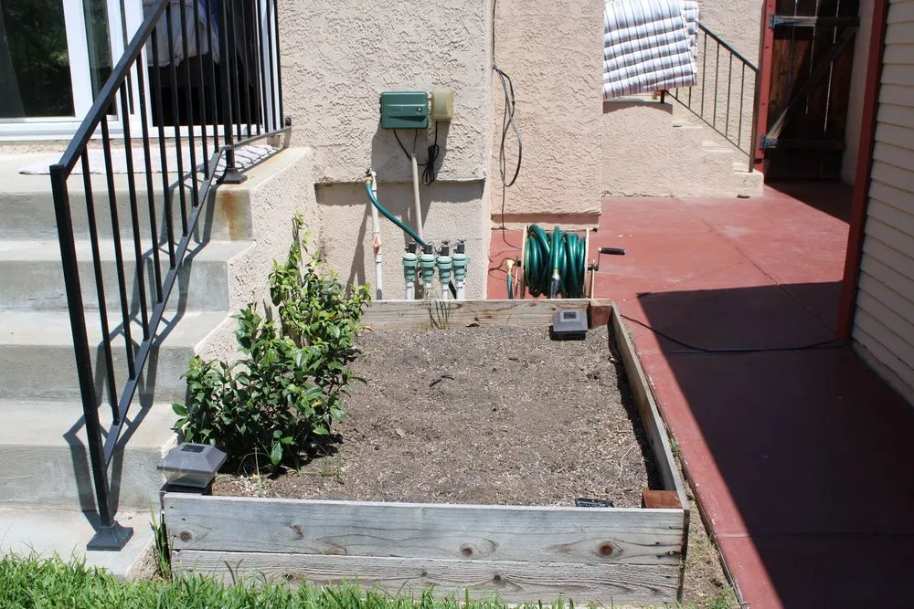 Trusted yard cleanup service experts serving Long Beach, CA - Christine Nakov