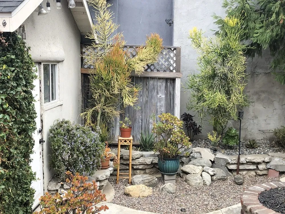 Expert yard cleanup service in Long Beach, CA - Christine Nakov