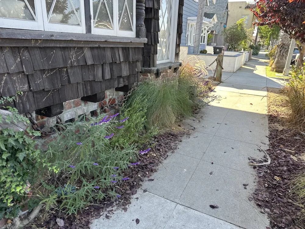 Top-rated yard maintenance experts serving Long Beach, CA - Christine Nakov