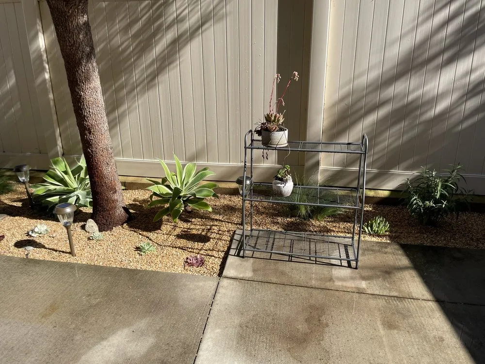 Professional residential landscaping in Long Beach, CA - Christine Nakov