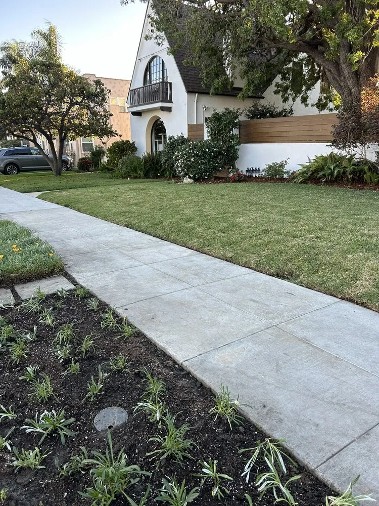 Affordable lawn care service for residential properties in Long Beach, CA by Christine Nakov