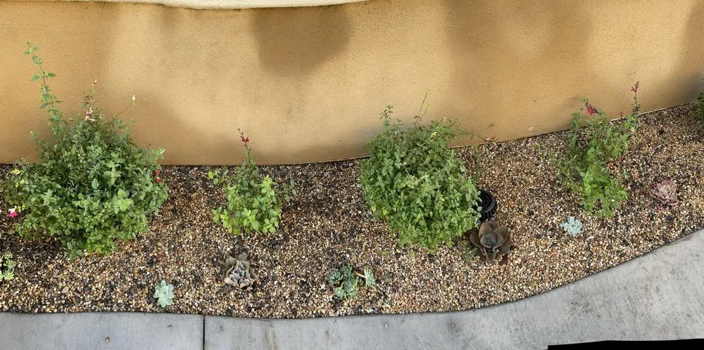 Local lawn mowing service in Long Beach, CA - Christine Nakov