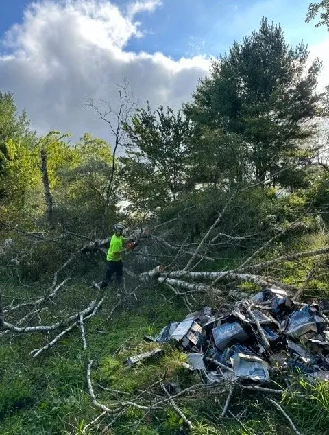 Reliable outdoor landscaping for year-round maintenance across Bethlehem, PA - Christmas City Landscaping & Tree Service