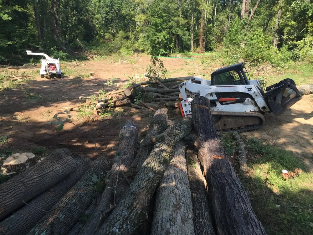 Expert landscape design with custom design in Bethlehem, PA by Christmas City Tree & Land Care