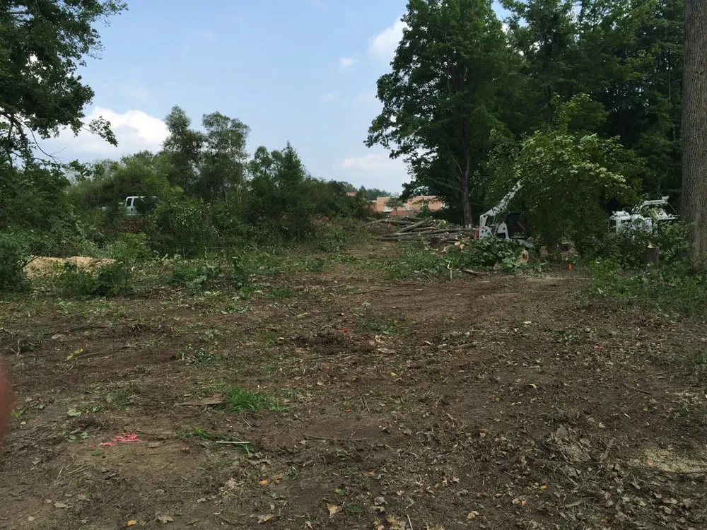 Top-rated garden landscaping in Bethlehem, PA - Christmas City Tree & Land Care