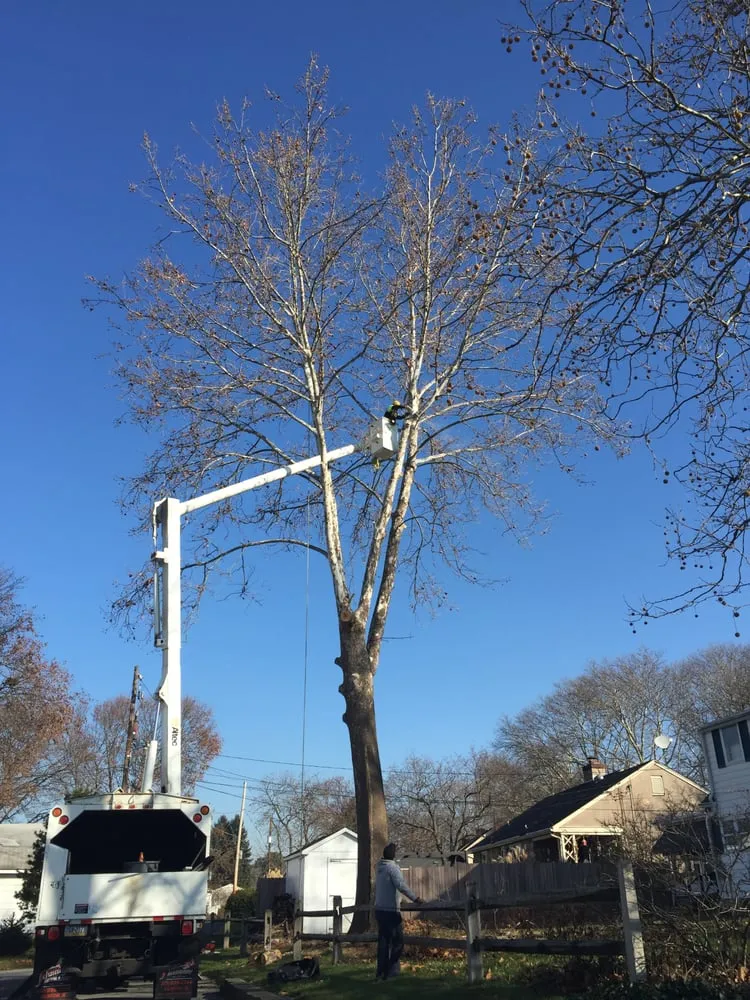 Professional residential landscaping for beautiful yards across Bethlehem, PA - Christmas City Tree & Land Care