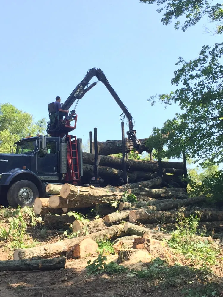 Top-rated residential landscaping in Bethlehem, PA - Christmas City Tree & Land Care