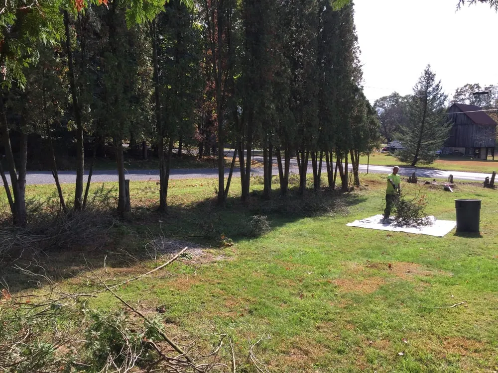 Professional residential landscaping experts serving Bethlehem, PA - Christmas City Tree & Land Care