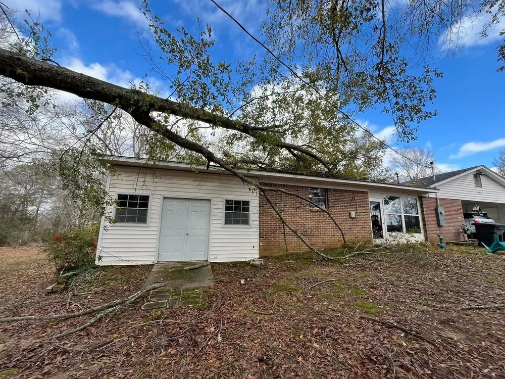 Local outdoor landscaping experts serving Millport, AL - Christmas land management
