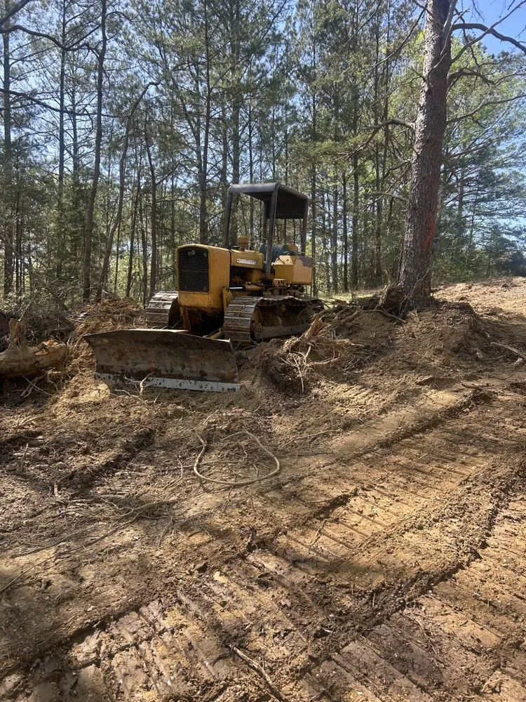 Expert yard maintenance in Millport, AL by Christmas land management