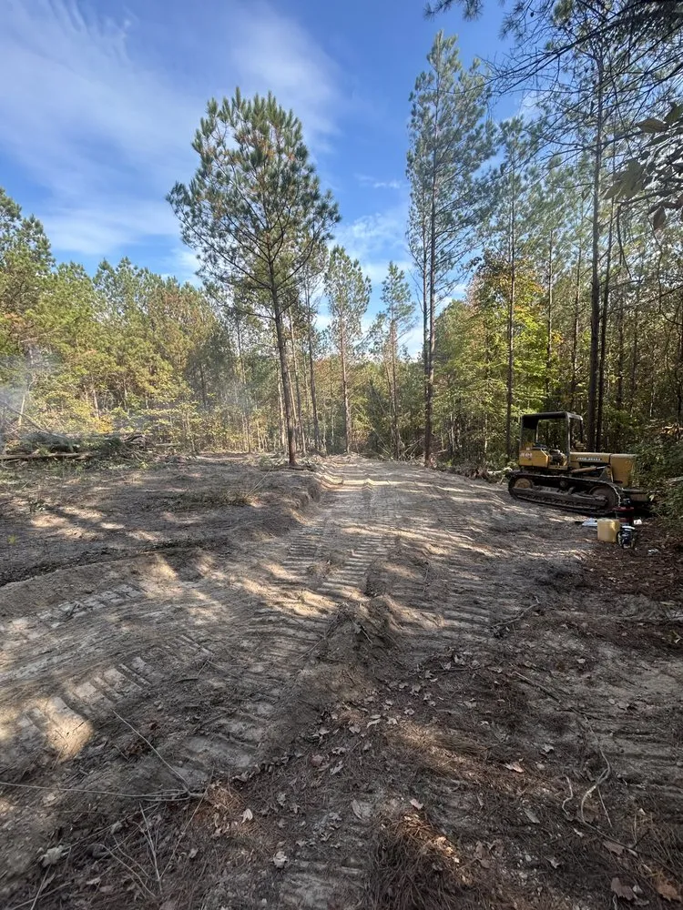 Custom lawn care service in Millport, AL - Christmas land management