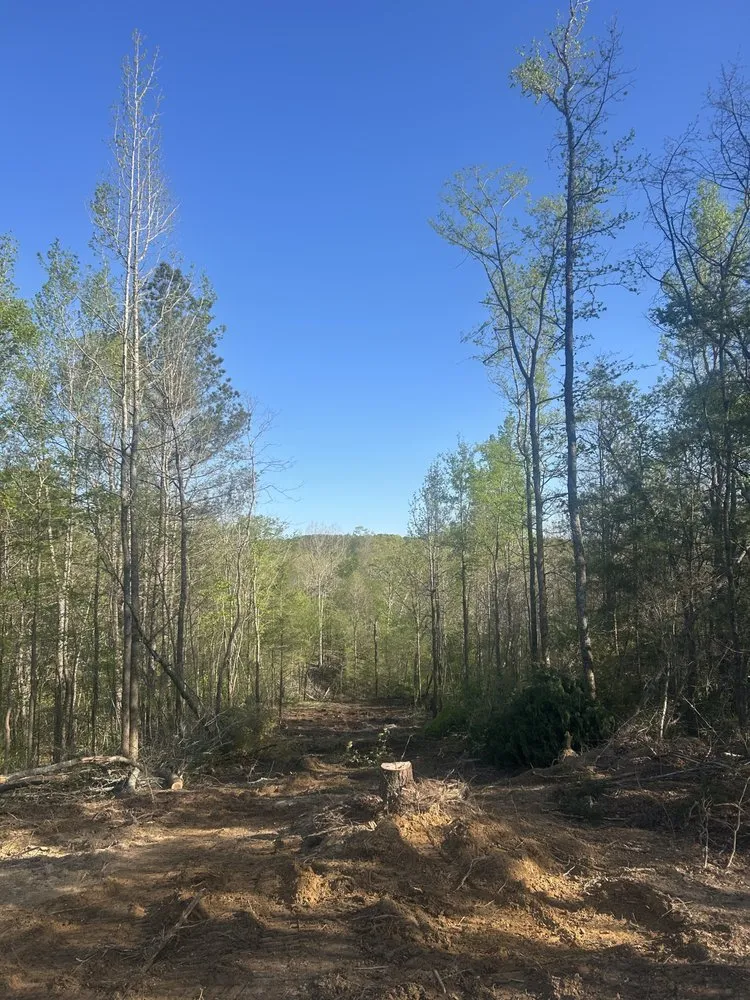 Trusted lawn mowing service for homes across Millport, AL - Christmas land management