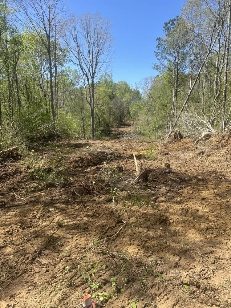 Reliable landscape design for beautiful yards across Millport, AL - Christmas land management
