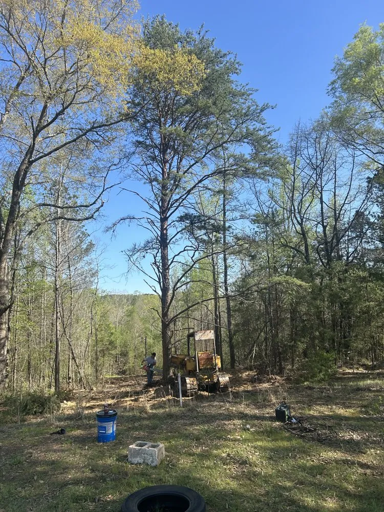 Affordable outdoor landscaping for year-round maintenance across Millport, AL - Christmas land management