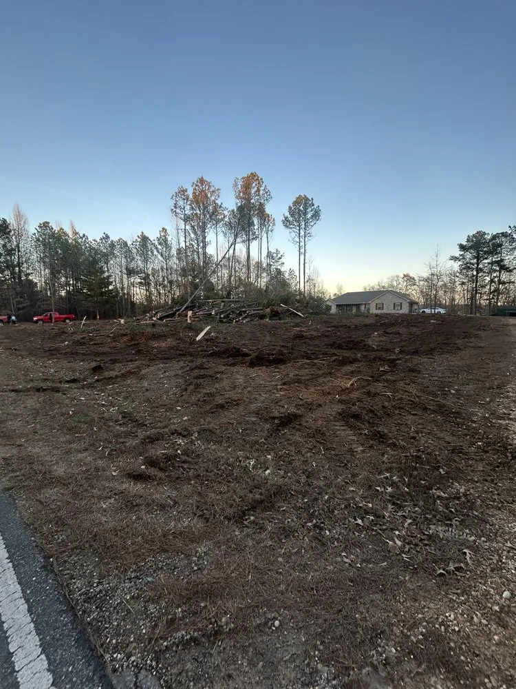 Reliable landscape installation experts serving Millport, AL - Christmas land management