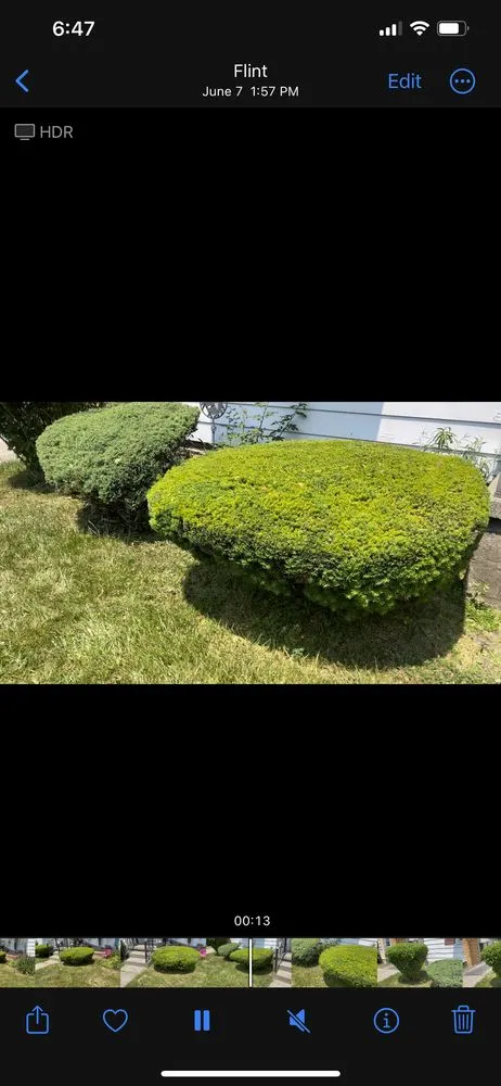 Reliable lawn mowing service in Flint, MI - Christopher & Brothers Lawn Service