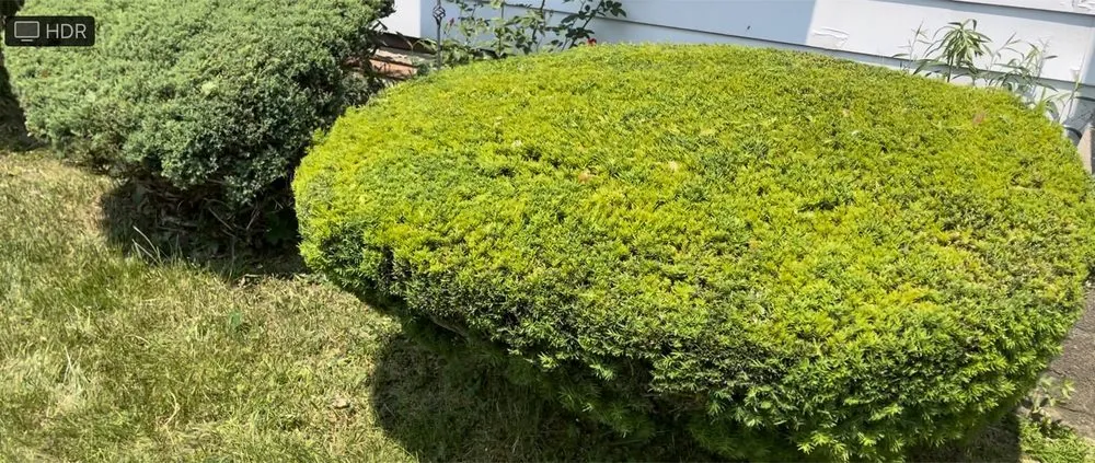 Custom garden landscaping for residential properties in Flint, MI by Christopher & Brothers Lawn Service