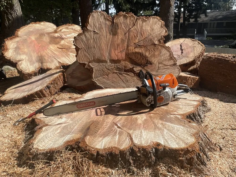Local yard maintenance in Oak Harbor, WA - Christopher Braden Erwin