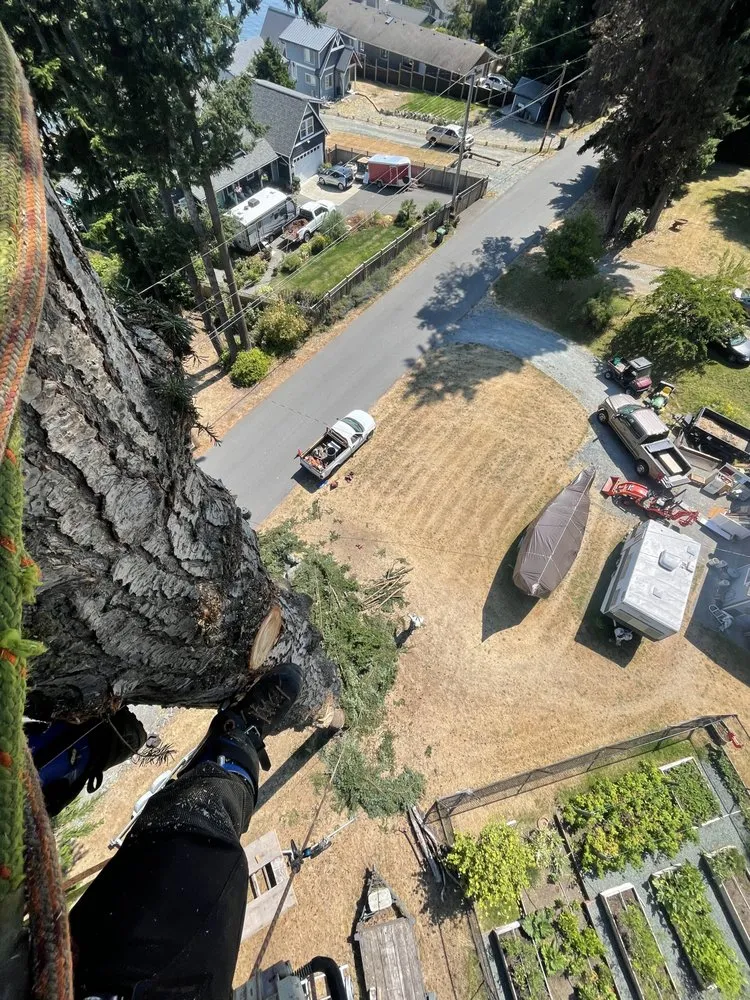 Trusted landscape design experts serving Oak Harbor, WA - Christopher Braden Erwin