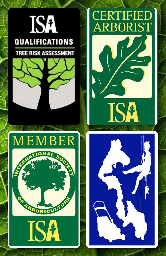 Expert landscape installation with custom design in Oak Harbor, WA by Christopher Braden Erwin