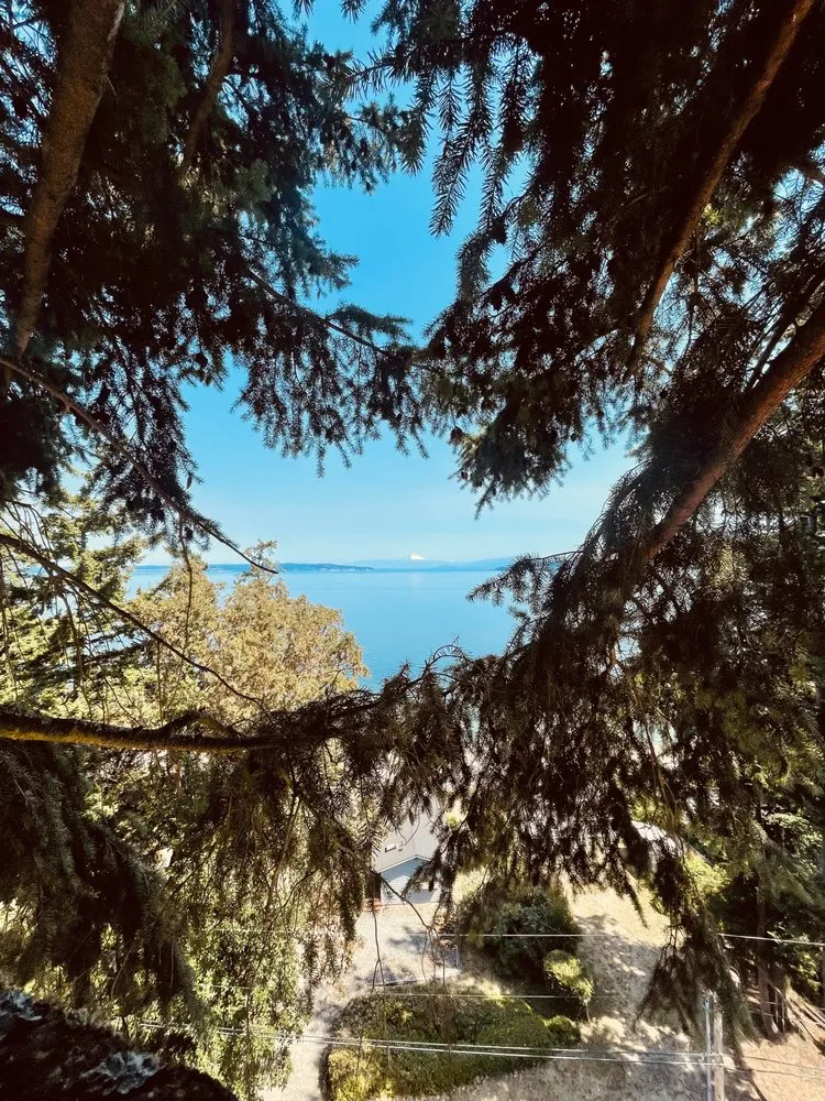 Professional landscaping services for residential properties in Oak Harbor, WA by Christopher Braden Erwin