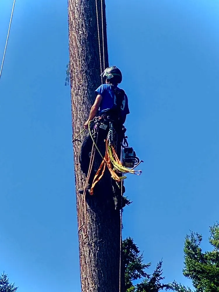 Top-rated lawn care service in Oak Harbor, WA by Christopher Braden Erwin