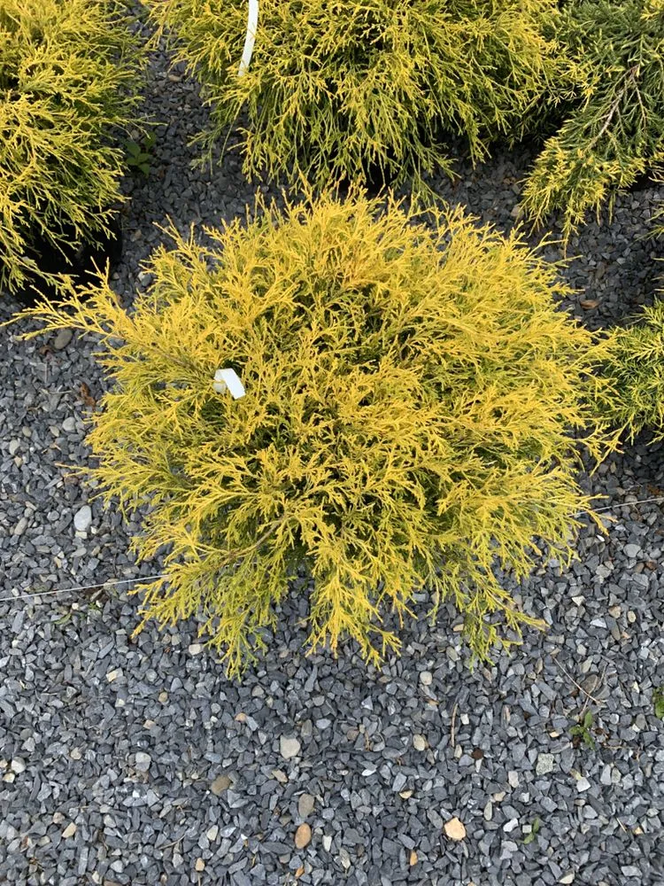 Custom outdoor landscaping in Pensacola, FL - Christopher Jernigan Lawn Care