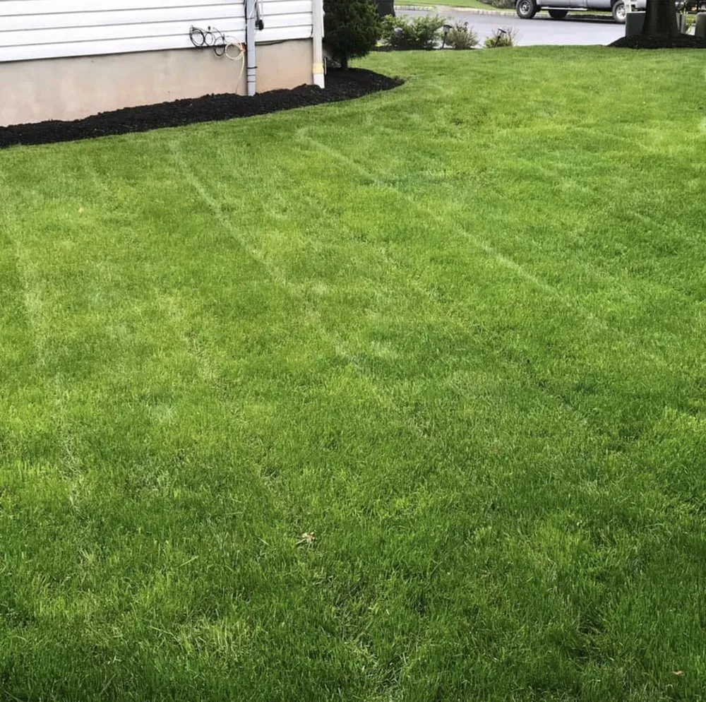 Local outdoor landscaping experts serving Pensacola, FL - Christopher Jernigan Lawn Care