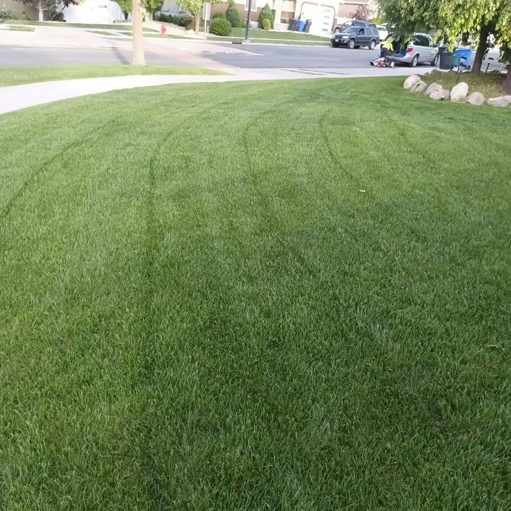 Top-rated yard maintenance experts serving Salt Lake City, UT - Christopher Landscape