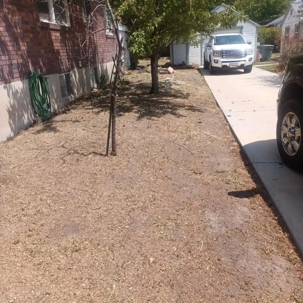 Custom landscape installation for year-round maintenance in Salt Lake City, UT by Christopher Landscape